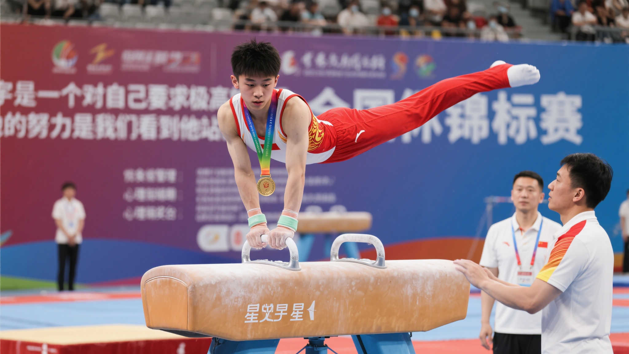 国内球员的 国内球员的